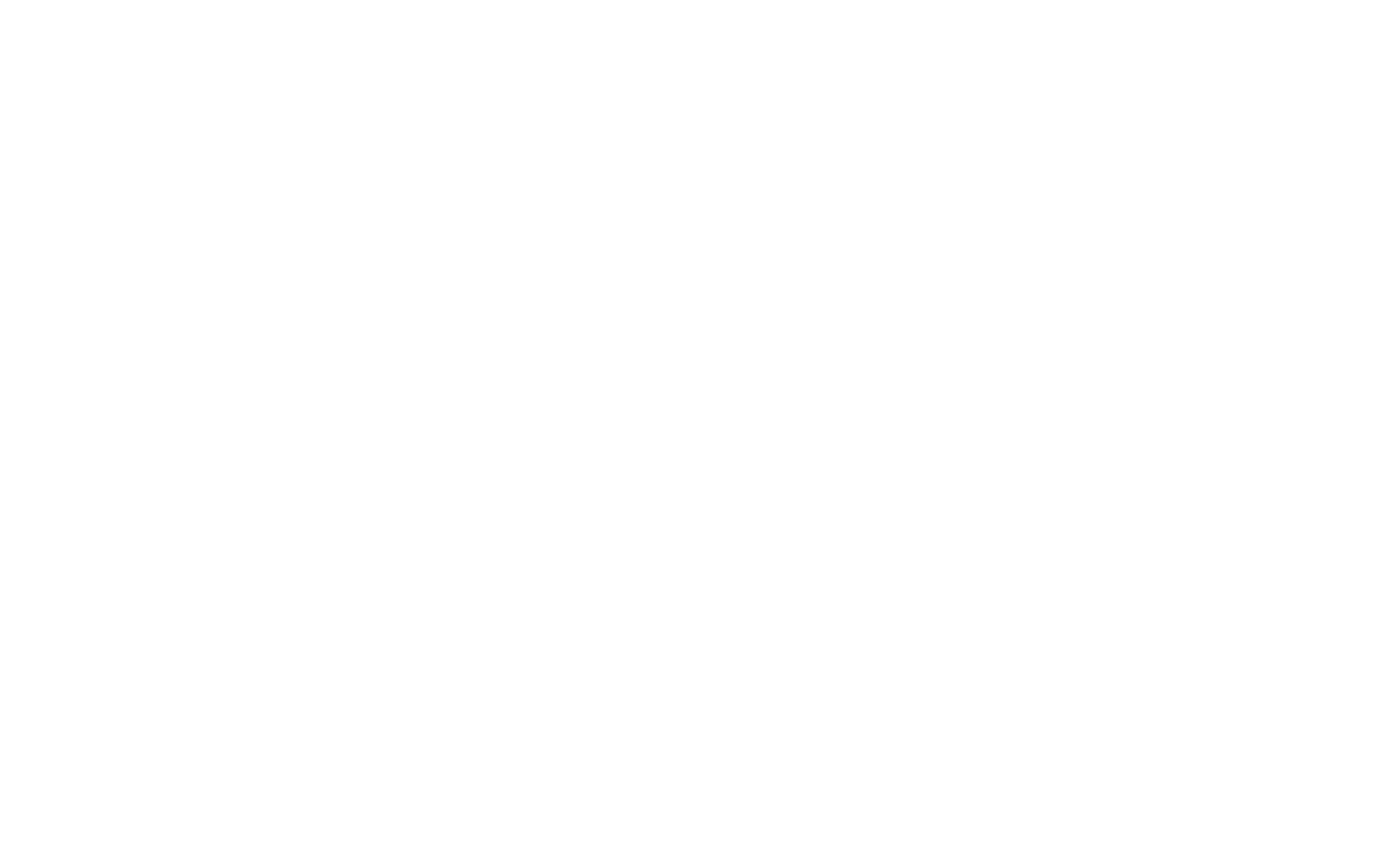 The Gravidy | Cyber Security